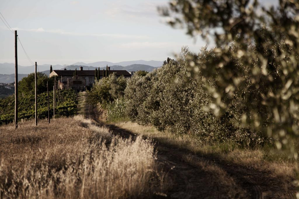 체레토구이디 Tenuta Di Colle Alberti Agriturismo 빌라 외부 사진