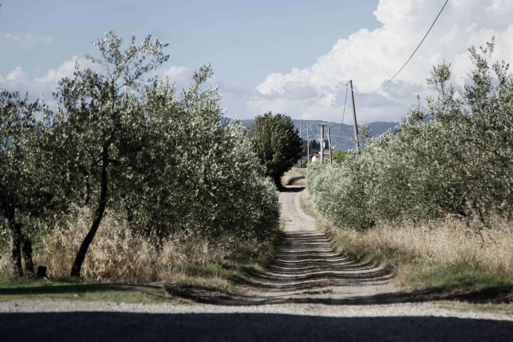 체레토구이디 Tenuta Di Colle Alberti Agriturismo 빌라 외부 사진