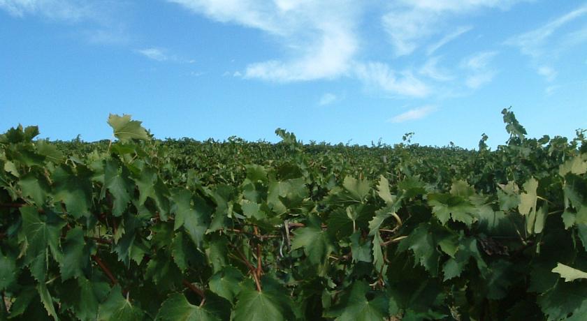 체레토구이디 Tenuta Di Colle Alberti Agriturismo 빌라 외부 사진